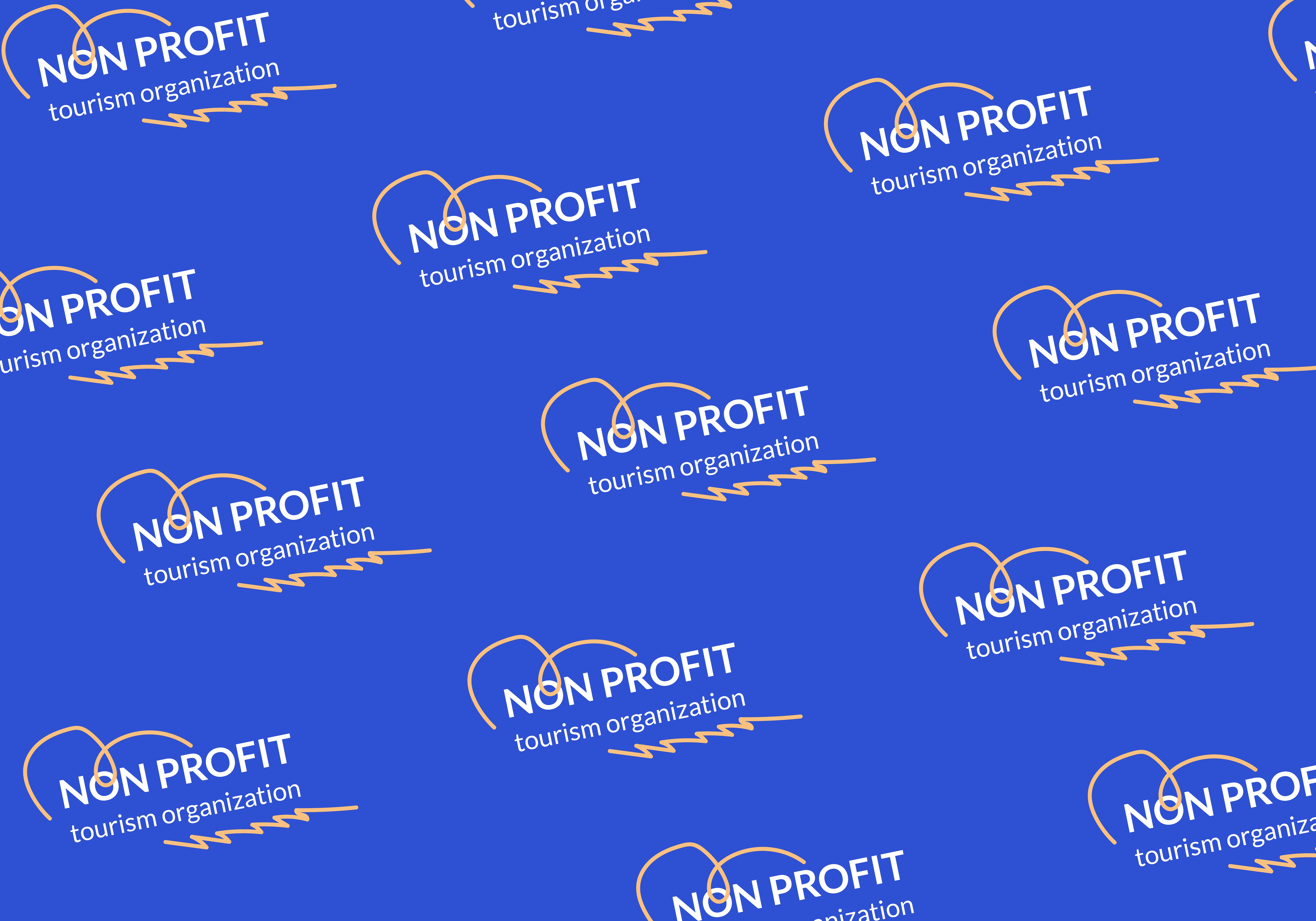 ow Salesforce System Enhancement Streamlined Business Processses for a Non-Profit Organization