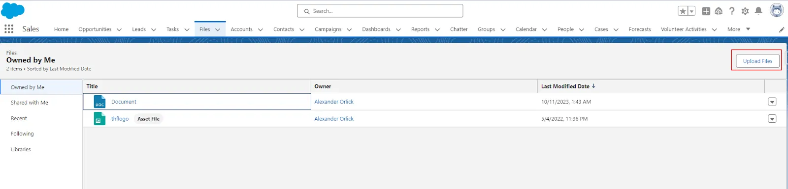 Salesforce file view