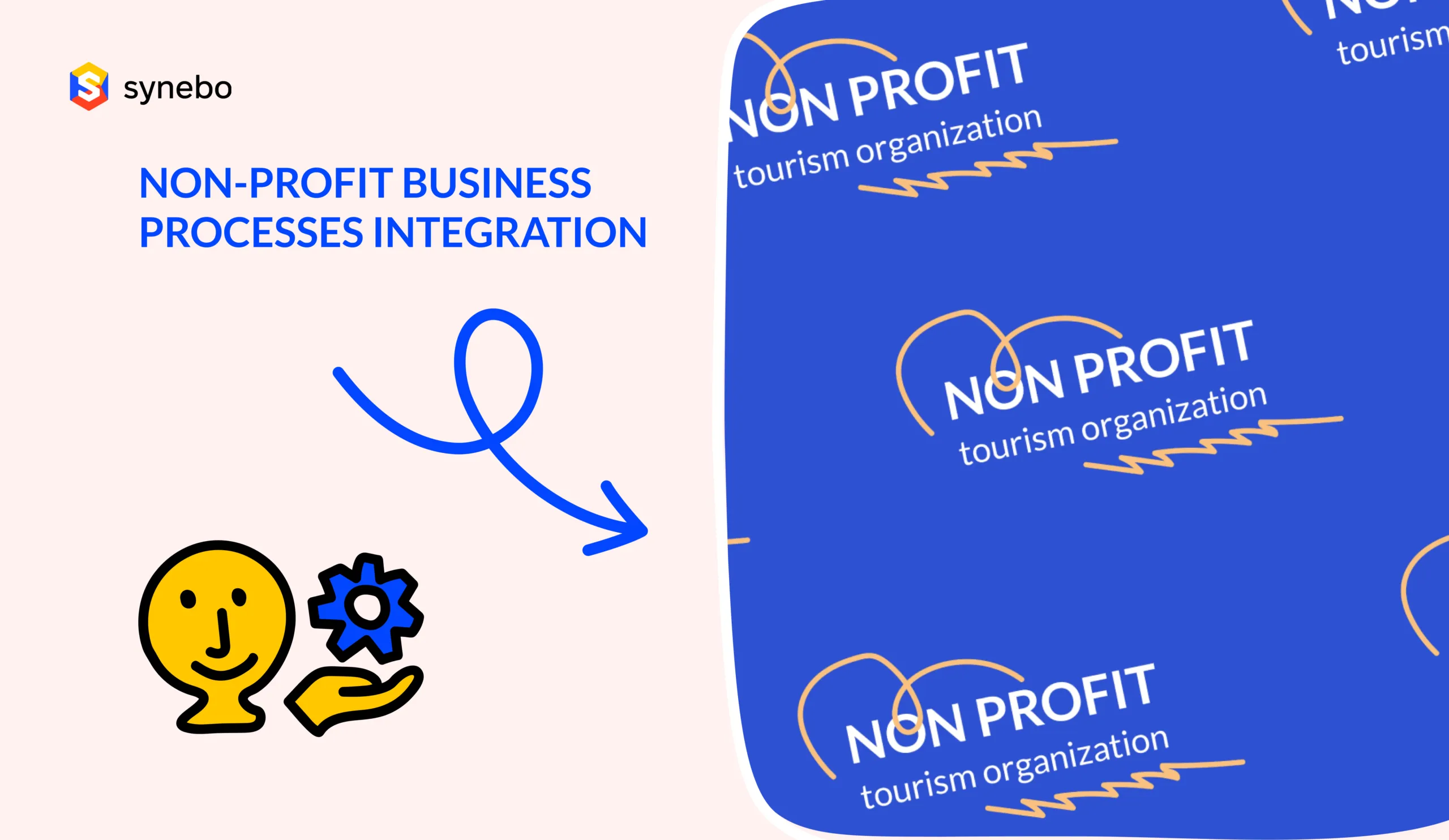 Non-Profit Business Processes Integration