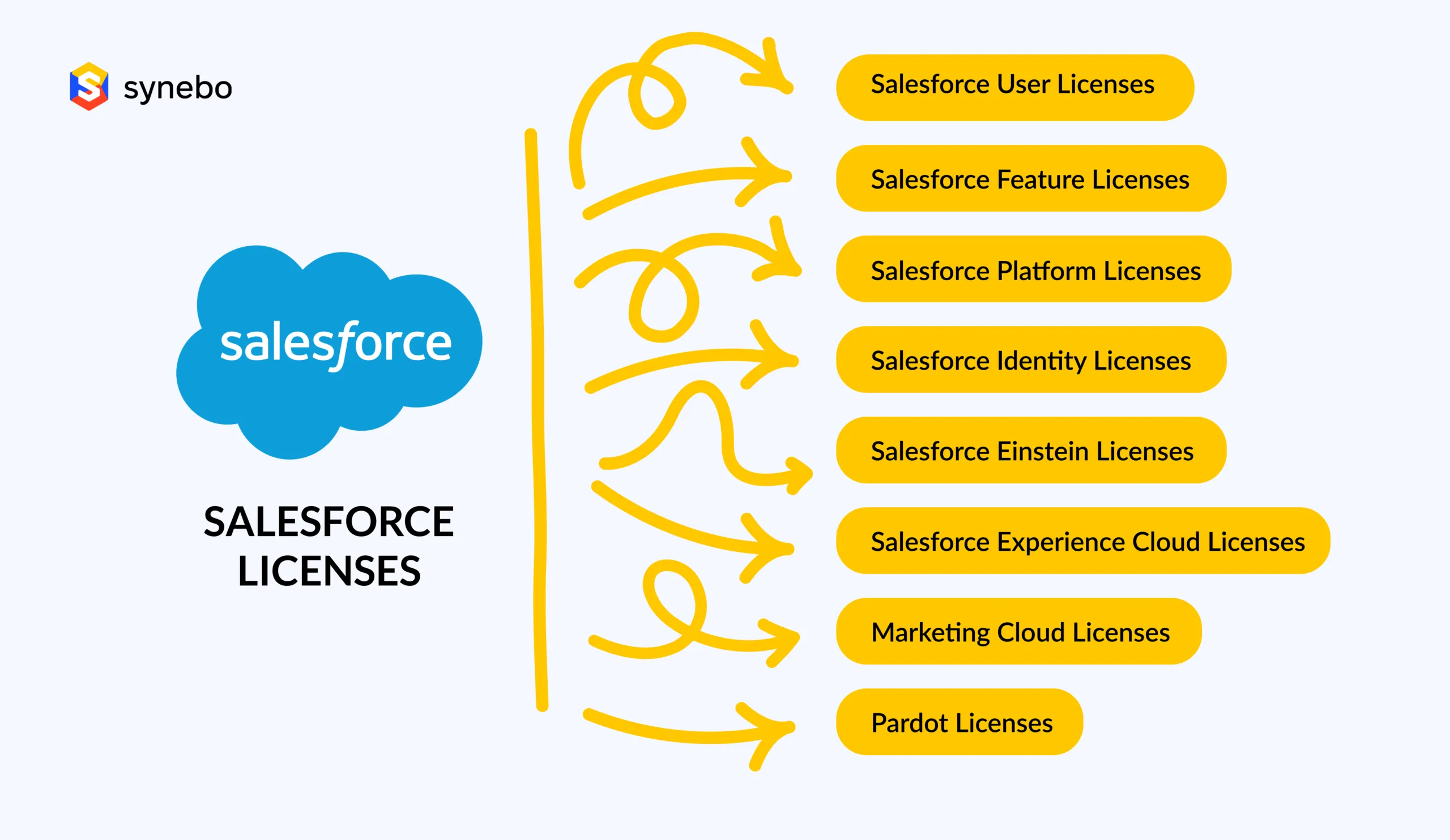 Salesforce license types
